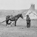 Antique photograph of teepee camp with pony and Native-Canadian man